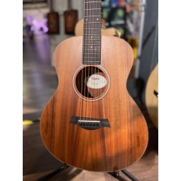 Taylor-GS MINI e KOA