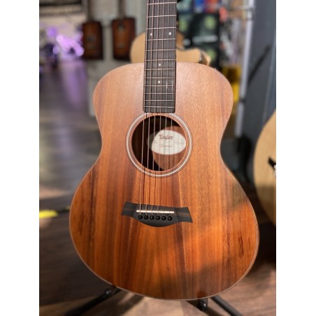 Taylor-GS MINI e KOA