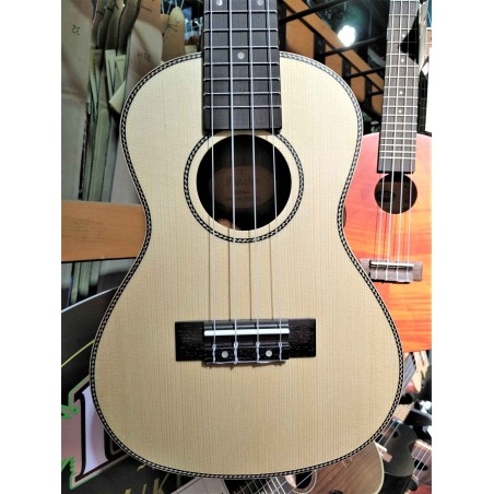 Prodipe-BC320-UKULELE