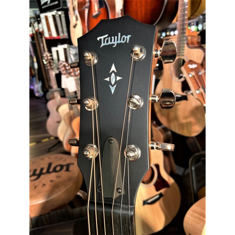 Taylor 717e Builder's Edition