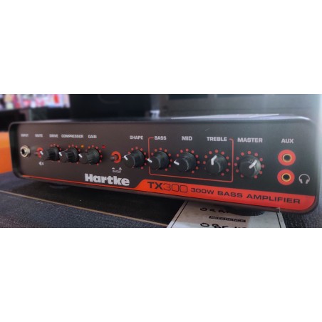 Hartke TX300