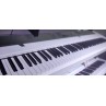 Kawai ES520 White