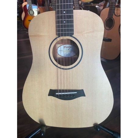 Taylor Guitars BT1e LH