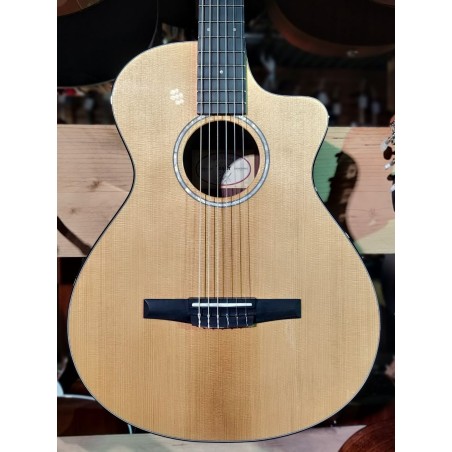 Taylor Guitars 212ce-N Plus