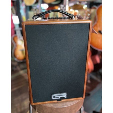 GRGuitar WD Acoustic 8