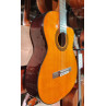 Takamine GC5CE Nat