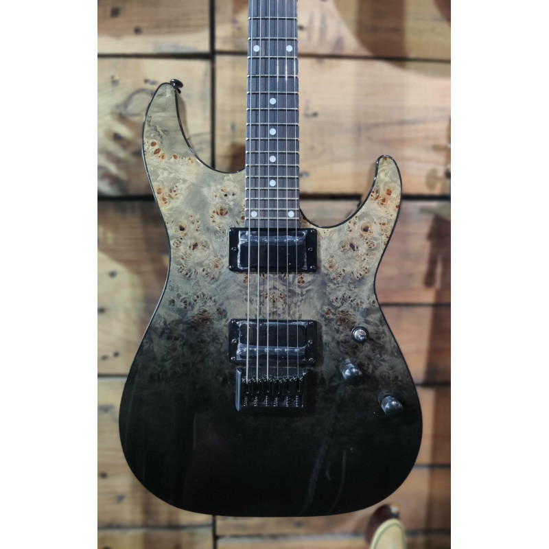 Schecter_c1_standard_bfbb