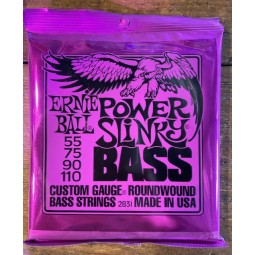 Ernie-ball-2831