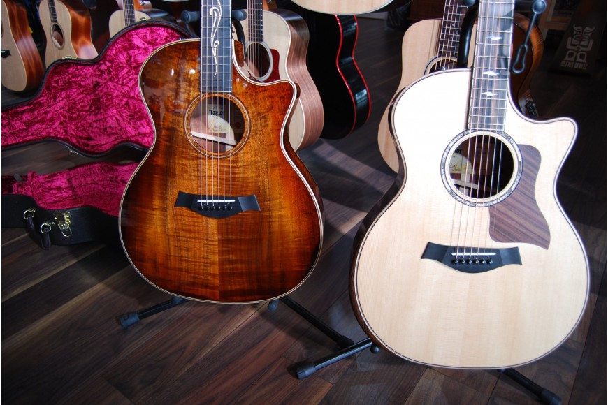 Guitares TAYLOR Haut de Gamme
